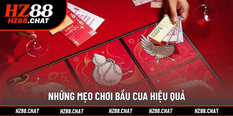 Bí quyết cá cược hiệu quả và an toàn cho người mới