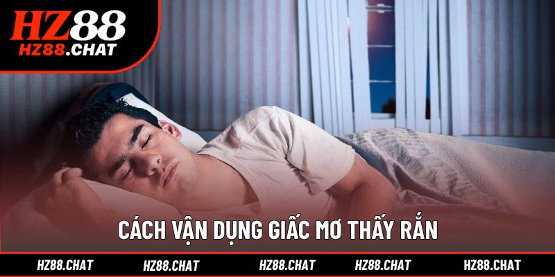 Bí quyết ứng dụng giấc mộng rắn vào soi cầu chuẩn xác