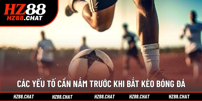 Hiểu rõ các tiêu chí quan trọng trước khi chọn kèo