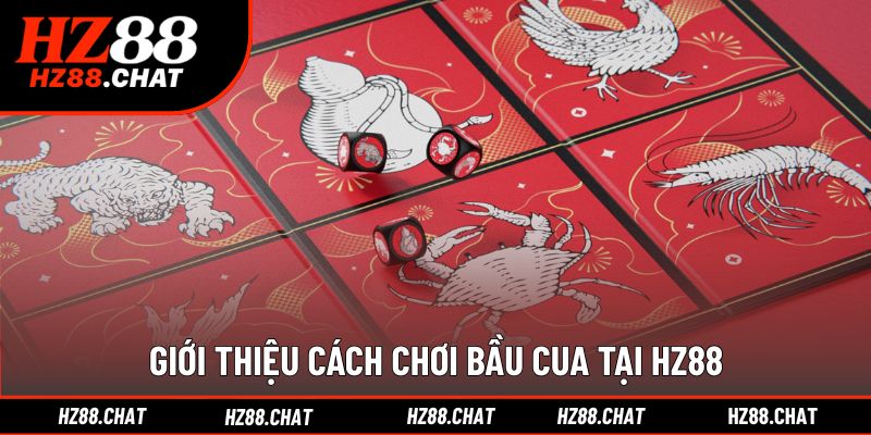 Khám phá luật chơi bầu cua trực tuyến dễ hiểu